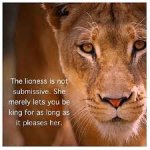 lioness.jpg