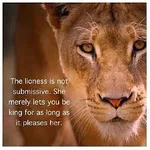 lioness.webp lioness.webp