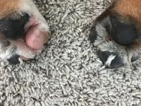 IMG_1815.webp