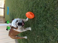 image.webp