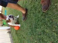 image.webp