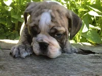 @ 7 weeks (1).webp