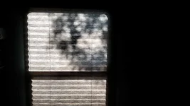 Shadow-Warriors.webp