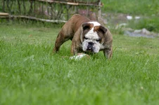 DSC_0085.webp