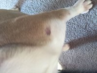image.jpeg image.jpeg