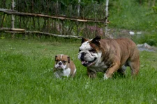 DSC_0088.webp