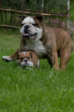 DSC_0090.webp