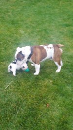 arnold and petey.jpg