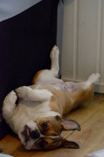 DSC_0070.jpg DSC_0070.jpg