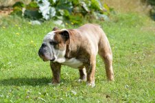 DSC_0168.jpg DSC_0168.jpg