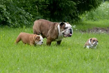 DSC_0999.webp