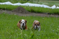 DSC_1017.webp