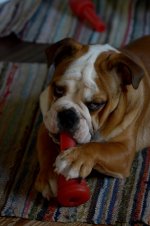 DSC_0373.jpg DSC_0373.jpg