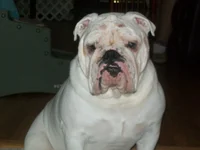 100_0959.webp