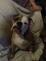 20161207_192148.webp