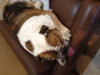 image.webp