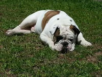 happy after bath 2015.webp