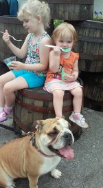 Biscuit at pet event.jpg