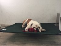 image.jpeg image.jpeg