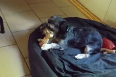 DSCF5787.webp