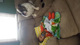 20170203_125115.webp