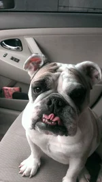 IMAG0606.webp