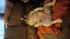 20161020_170552.webp
