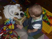 _1090618.webp