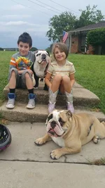 kids & bullys.webp