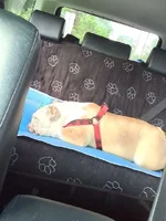 Cooling Mat.webp