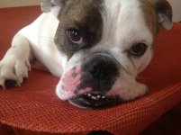 image.jpeg image.jpeg