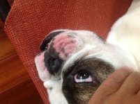 image.jpeg image.jpeg