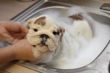 MadamMim-First Bath.jpg