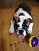 Jersey (060816).webp