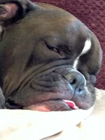 Spencer Tired.webp Spencer Tired.webp