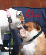 Kisses.webp