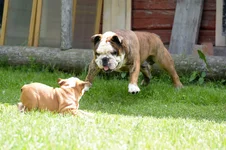 DSC_0067.webp