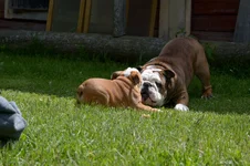 DSC_0068.webp