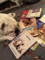 books2.webp