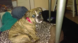 IMAG0137.webp IMAG0137.webp