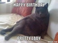 birthdaycat.jpg