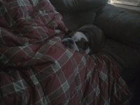 WIN_20160612_190728.JPG