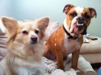 ImageUploadedByTapatalk1324334043.971811.jpg ImageUploadedByTapatalk1324334043.971811.jpg