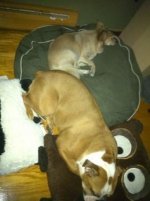 ImageUploadedByTapatalk1324352979.179785.jpg ImageUploadedByTapatalk1324352979.179785.jpg