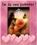 i the new princess.webp i the new princess.webp