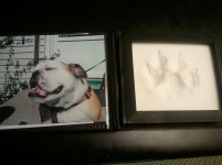 Lucy footprint.jpg