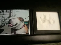 Lucy footprint.webp