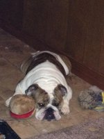 IMG_2296.jpg IMG_2296.jpg