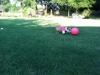 IMG_1546.webp