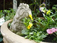 P2280030.webp
